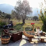 The Getaway * Salakos