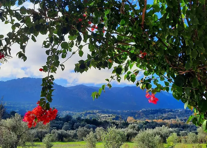 Apartment The Getaway