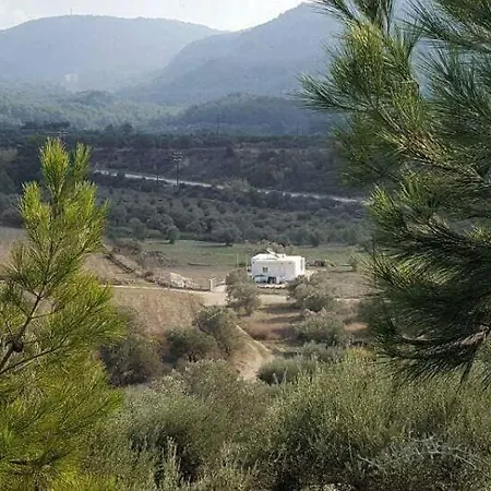 The Getaway * Salakos