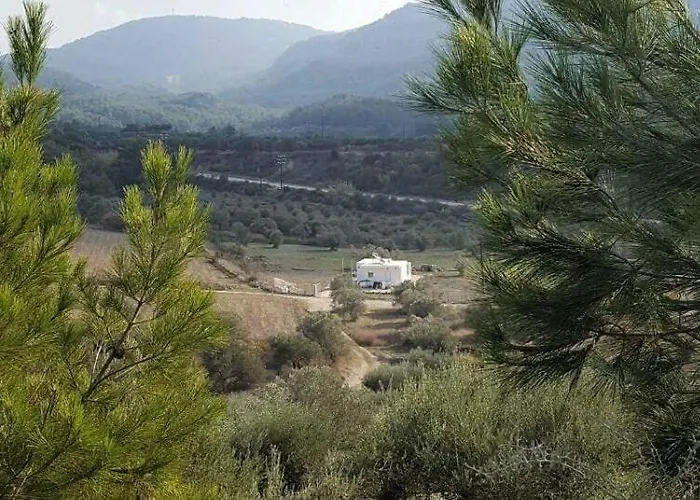 The Getaway * Salakos